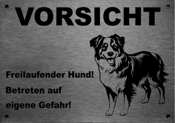 Edelstahl Warnschild Australian Shepherd VORSICHT Freilaufender Hund! Betreten auf eigene Gefahr!
